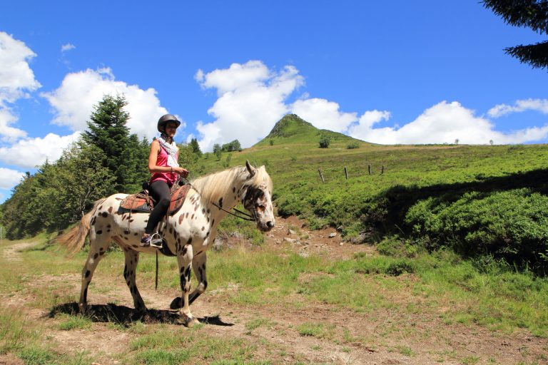 Horse and Equestrian Sports